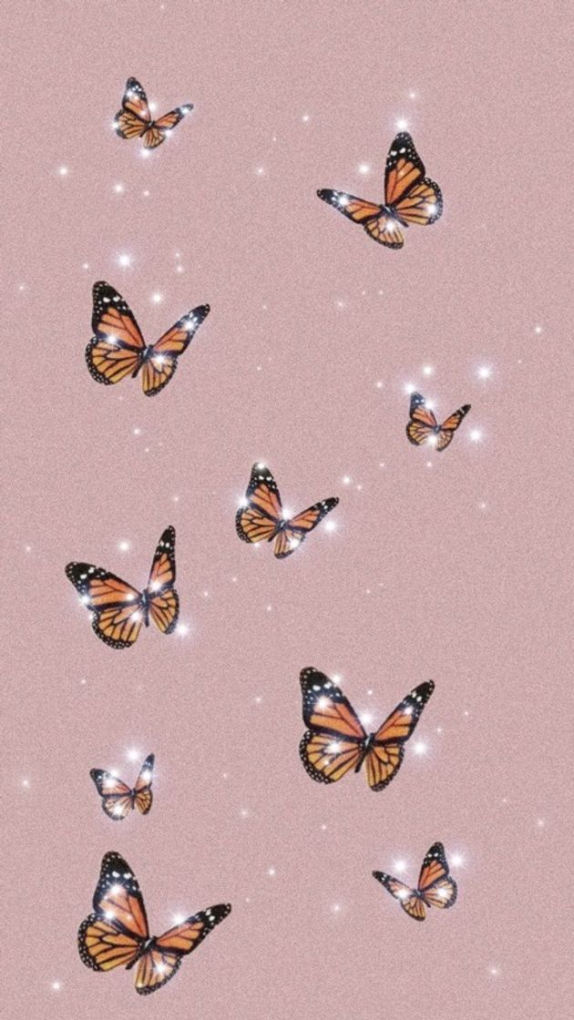 Fashion butterflies 🦋