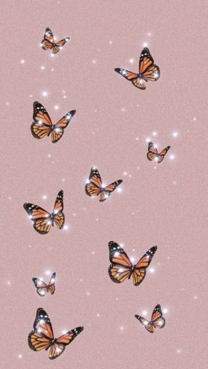 butterflies 🦋