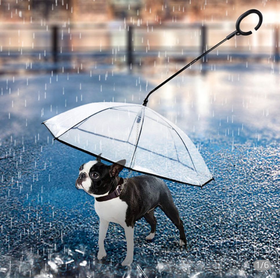 Moda GUARDA CHUVA PARA PASSEAR COM PET