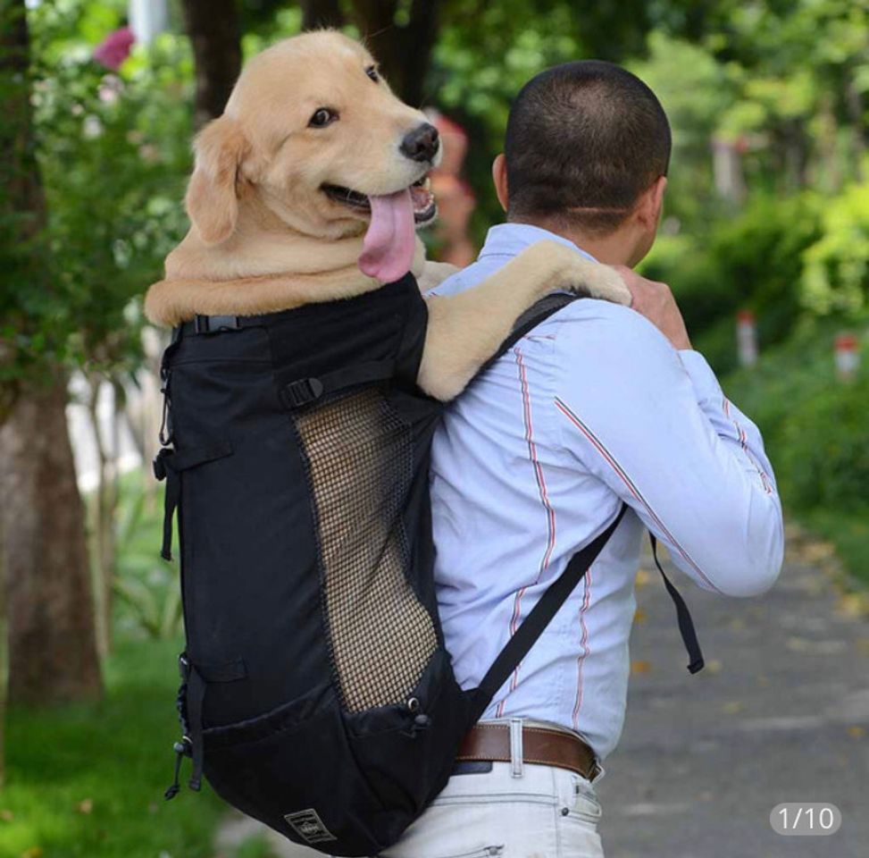 Moda MOCHILA TRANSPORTE DE PET