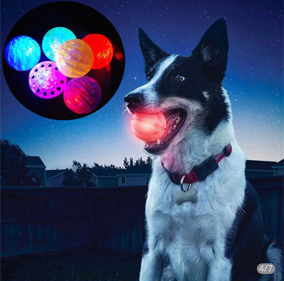 Moda BOLA ILUMINACAO PARA PET