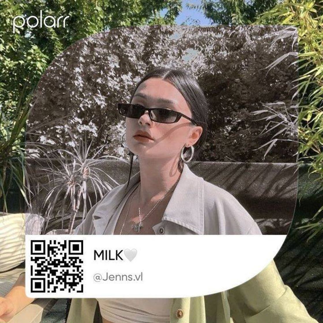 milk filter