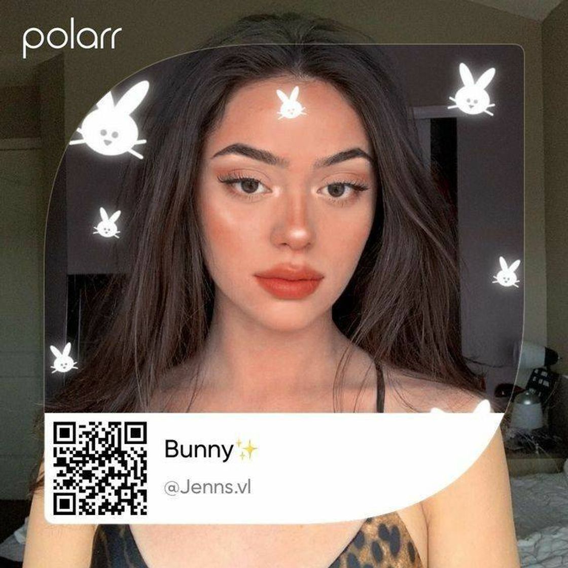 bunny filter