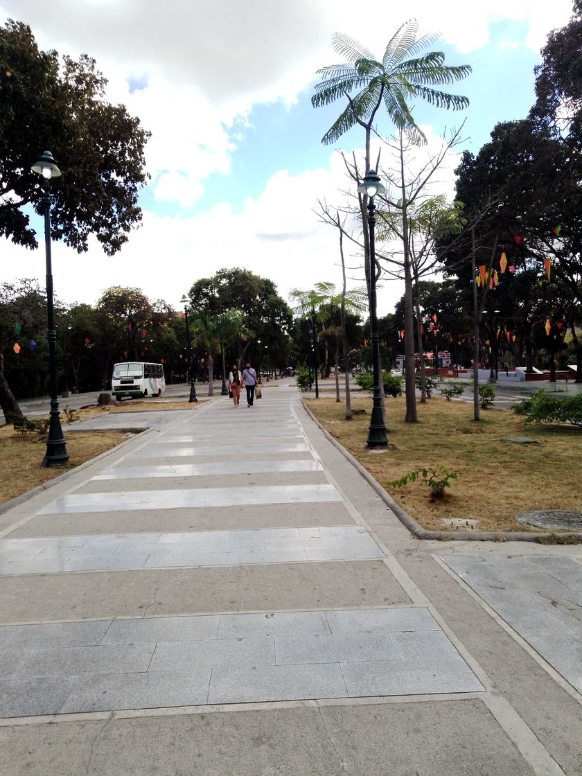 Place Paseo Los Próceres