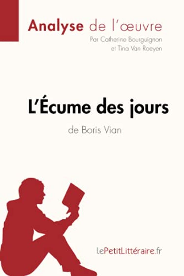 Book L'Écume des jours de Boris Vian