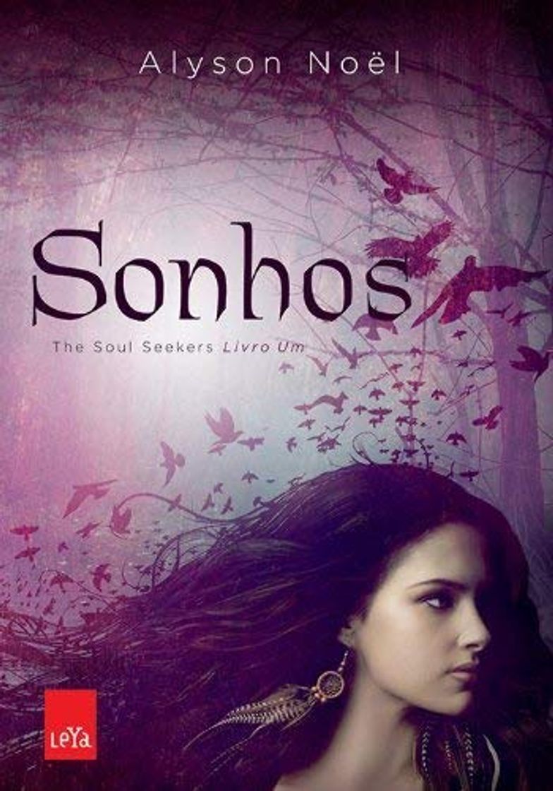 Libro Sonhos