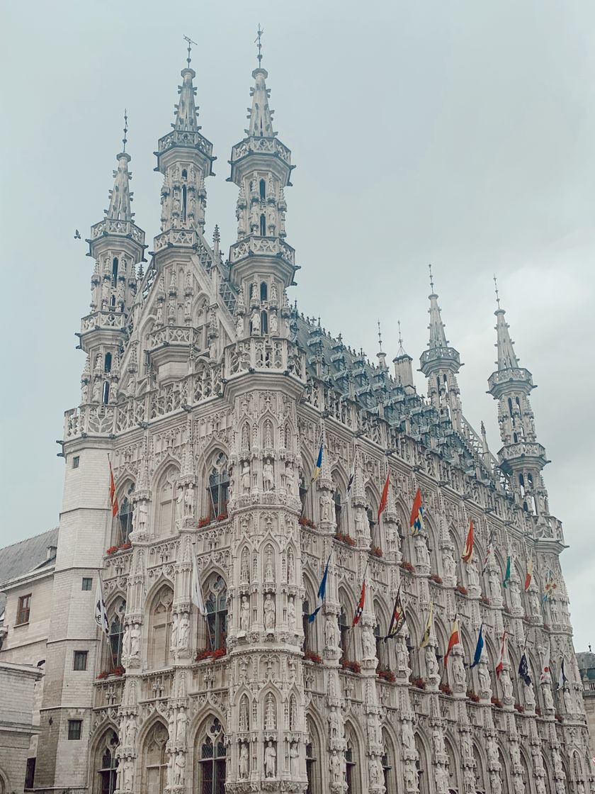 Lugar Leuven