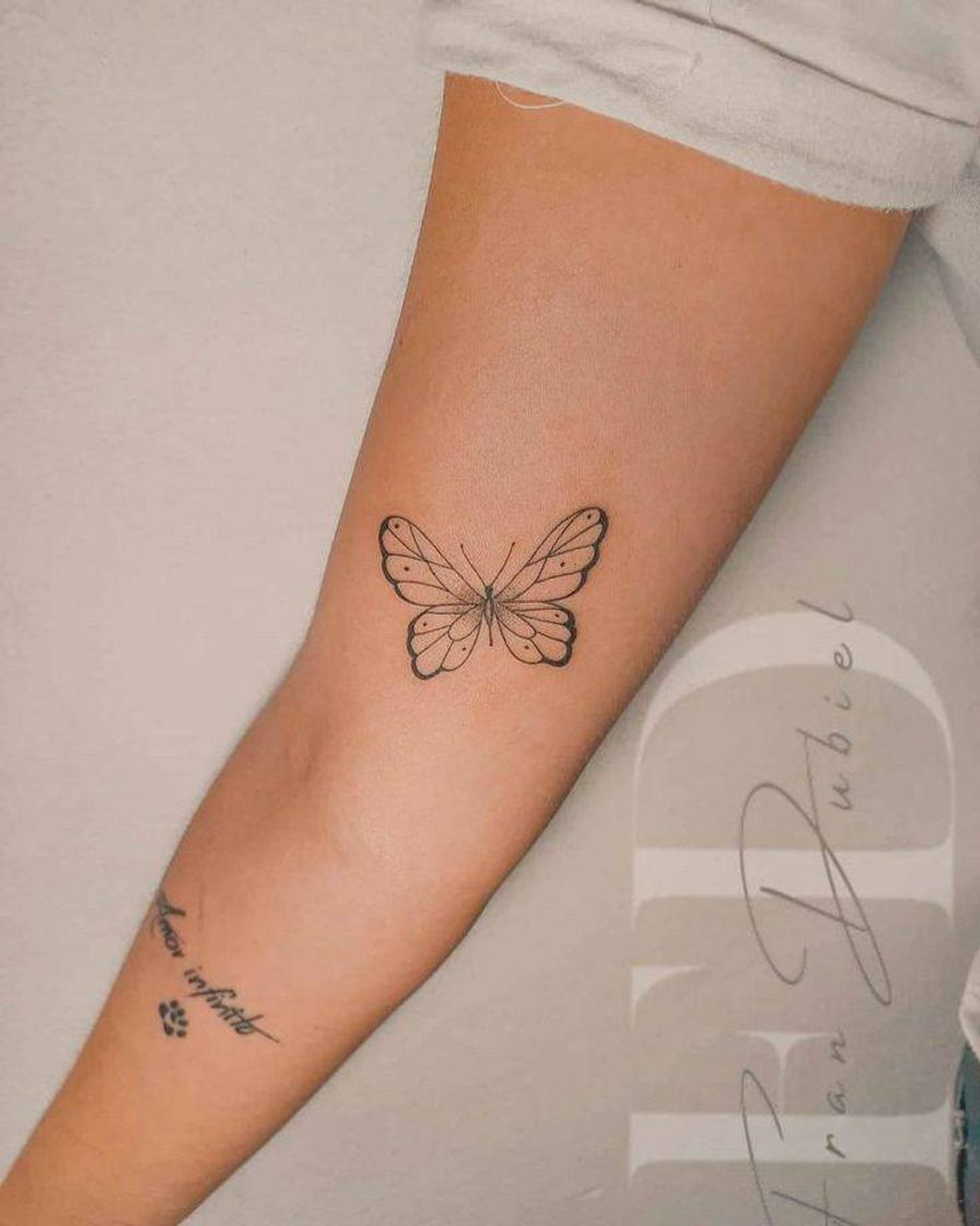 Social BORBOLETAS 🦋