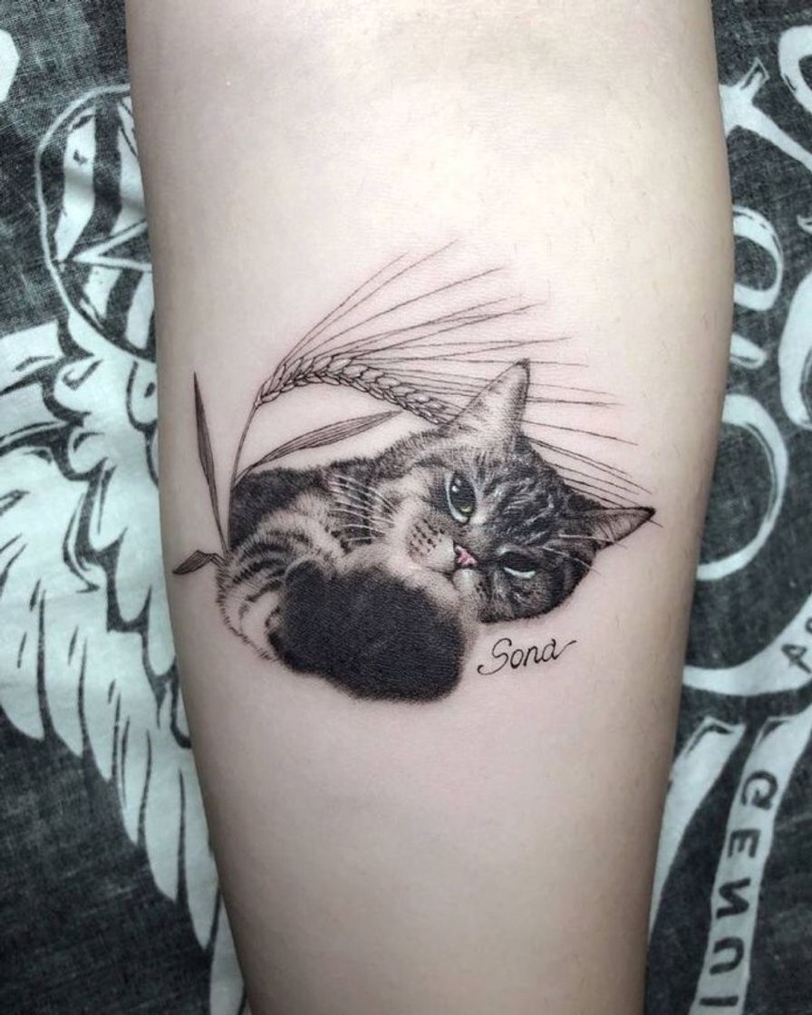 Moda Tattoo gato