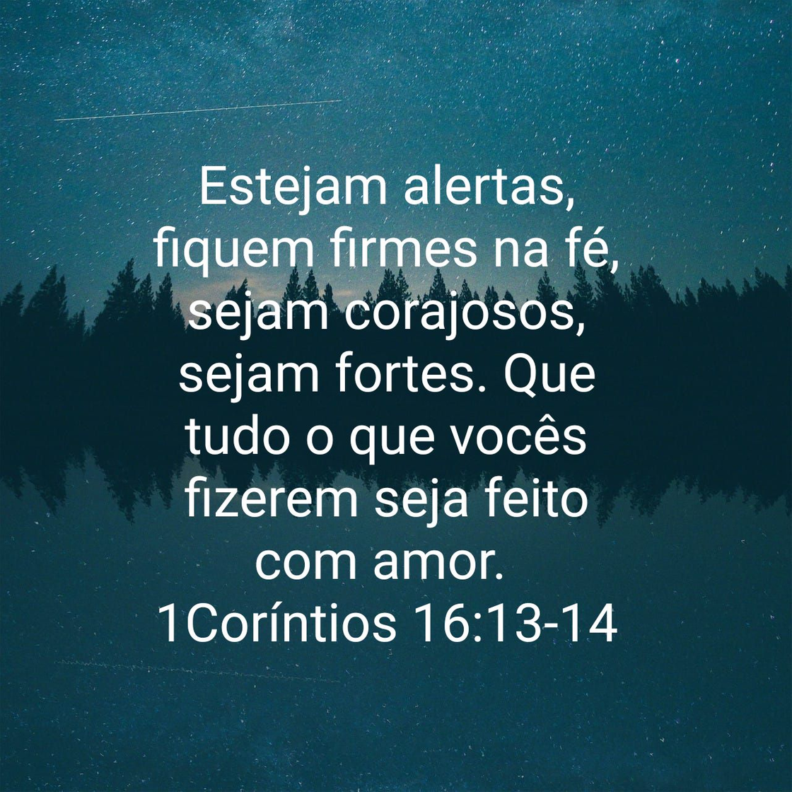 Social 1Coríntios 16:13-14 Estejam alertas, fiquem firmes na fé