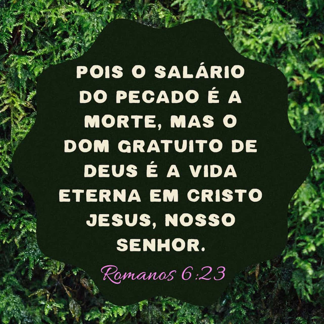 Social Romanos 6:23