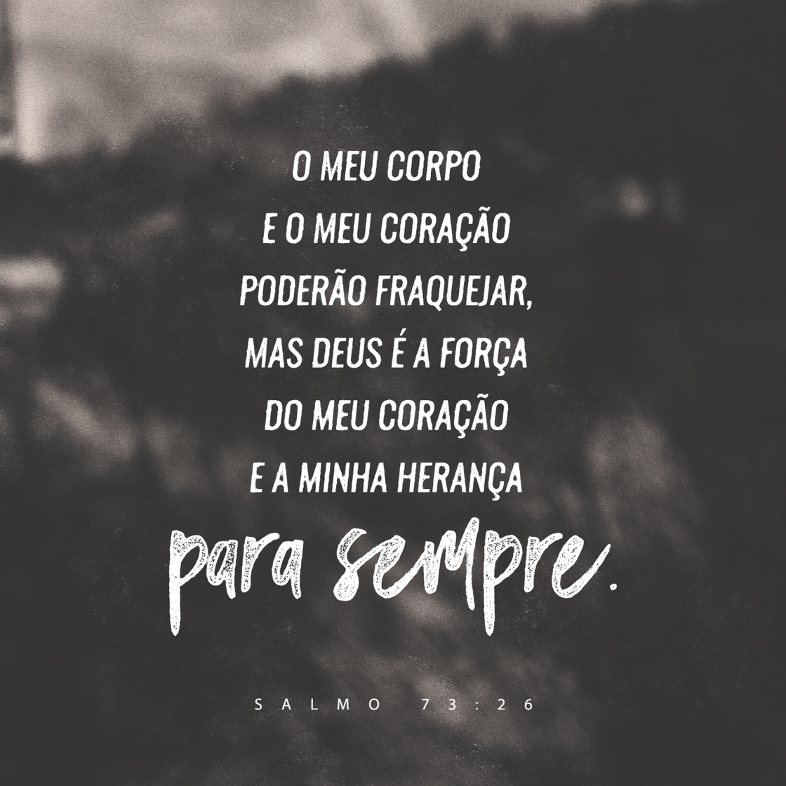 Fashion Salmos 73:23