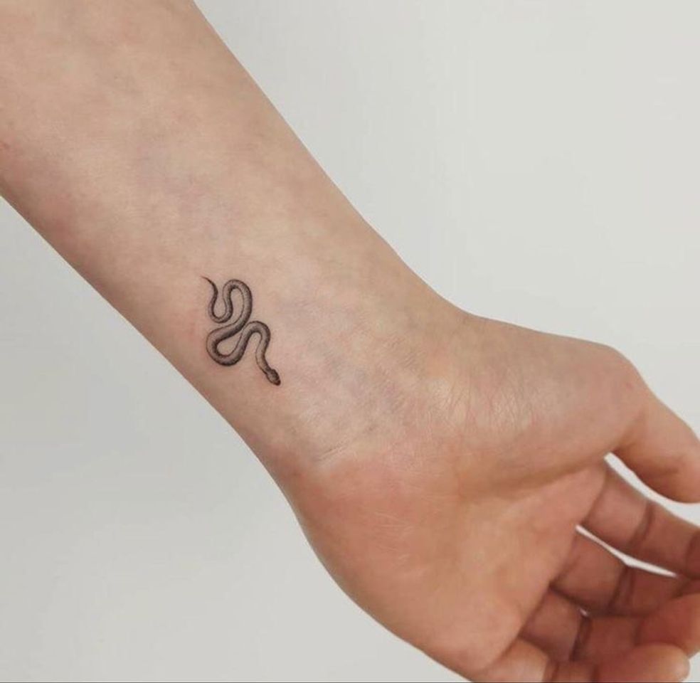 Minimalista 🐍