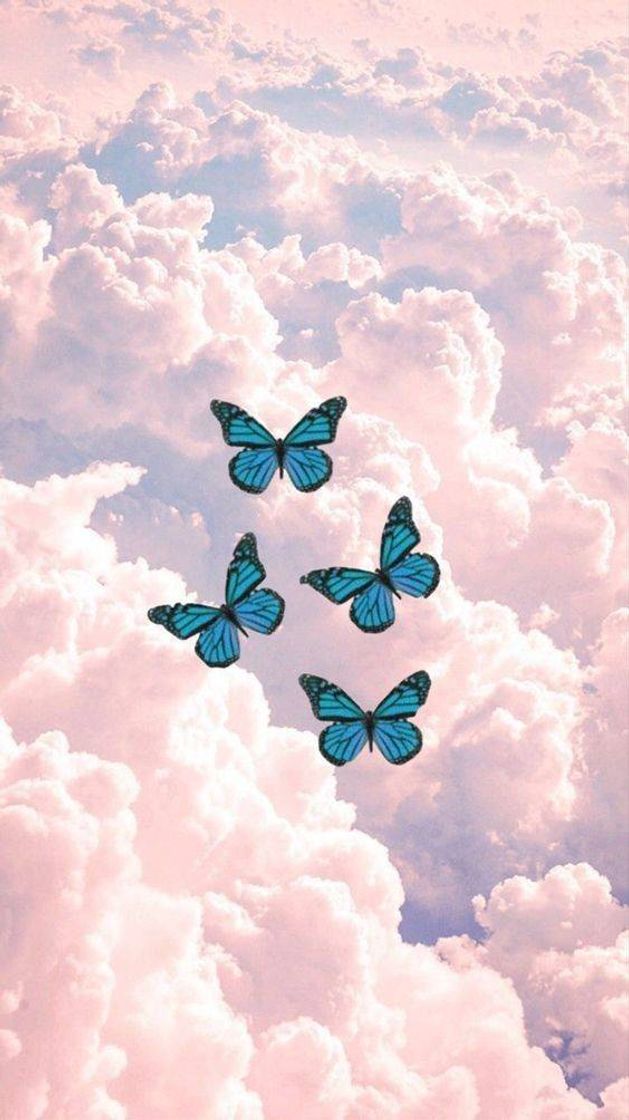 Moda Wallpaper 🦋