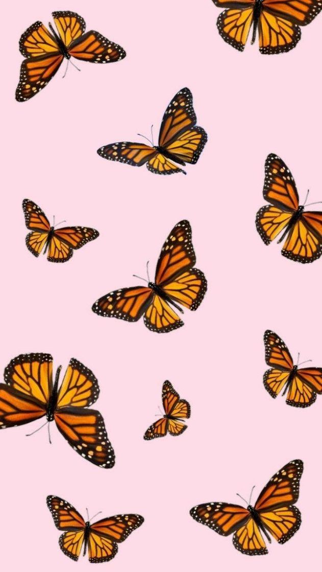 Moda Wallpaper 🦋