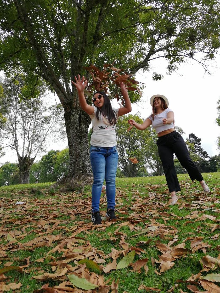 Places Bosque Popular El Prado