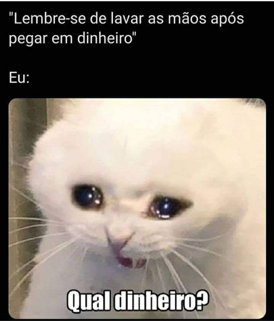 Social Memes