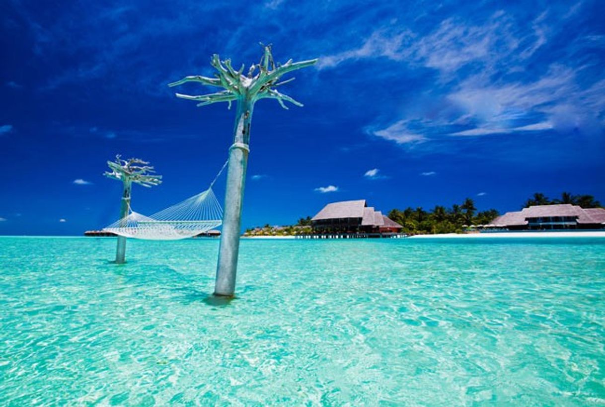 Lugar Maldive Islands