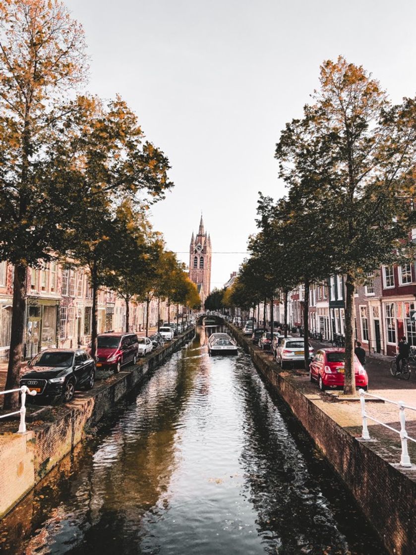 Place Delft