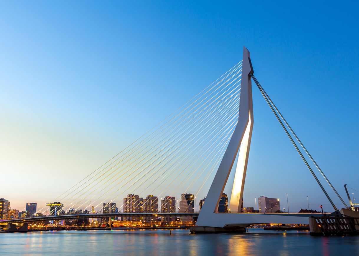 Place Erasmus Bridge