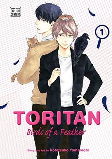 Toritan: Birds of a Feather, Vol. 1