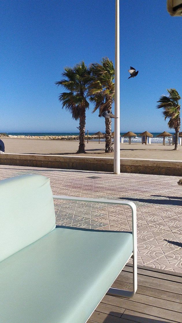 Restaurants Iguana Restaurant & Cocktails