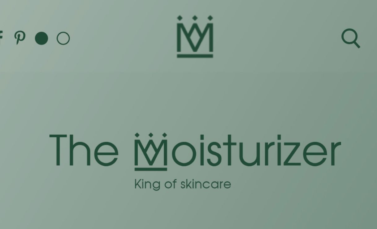 Producto The Moisturizer