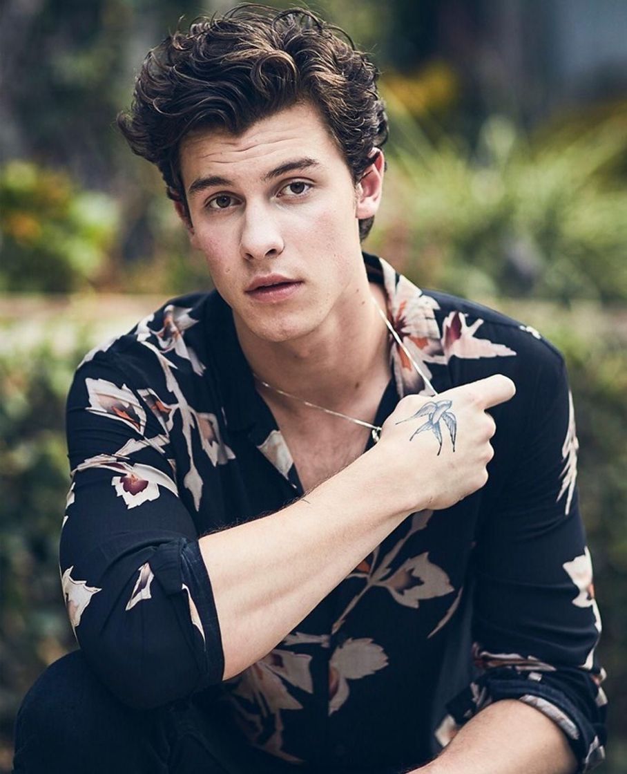 Music Shawn Mendes