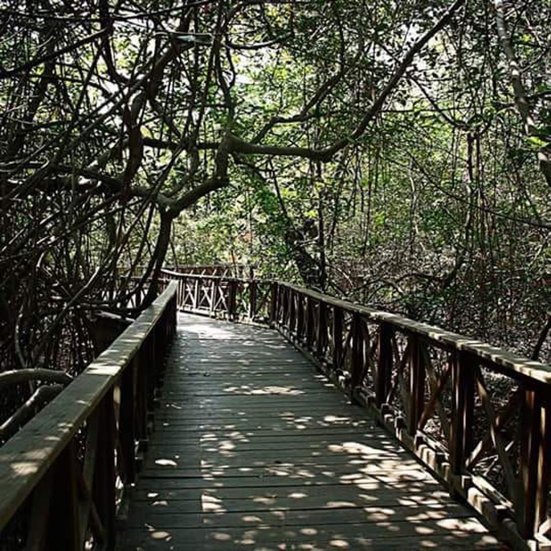 Lugar Parque Histórico de Guayaquil