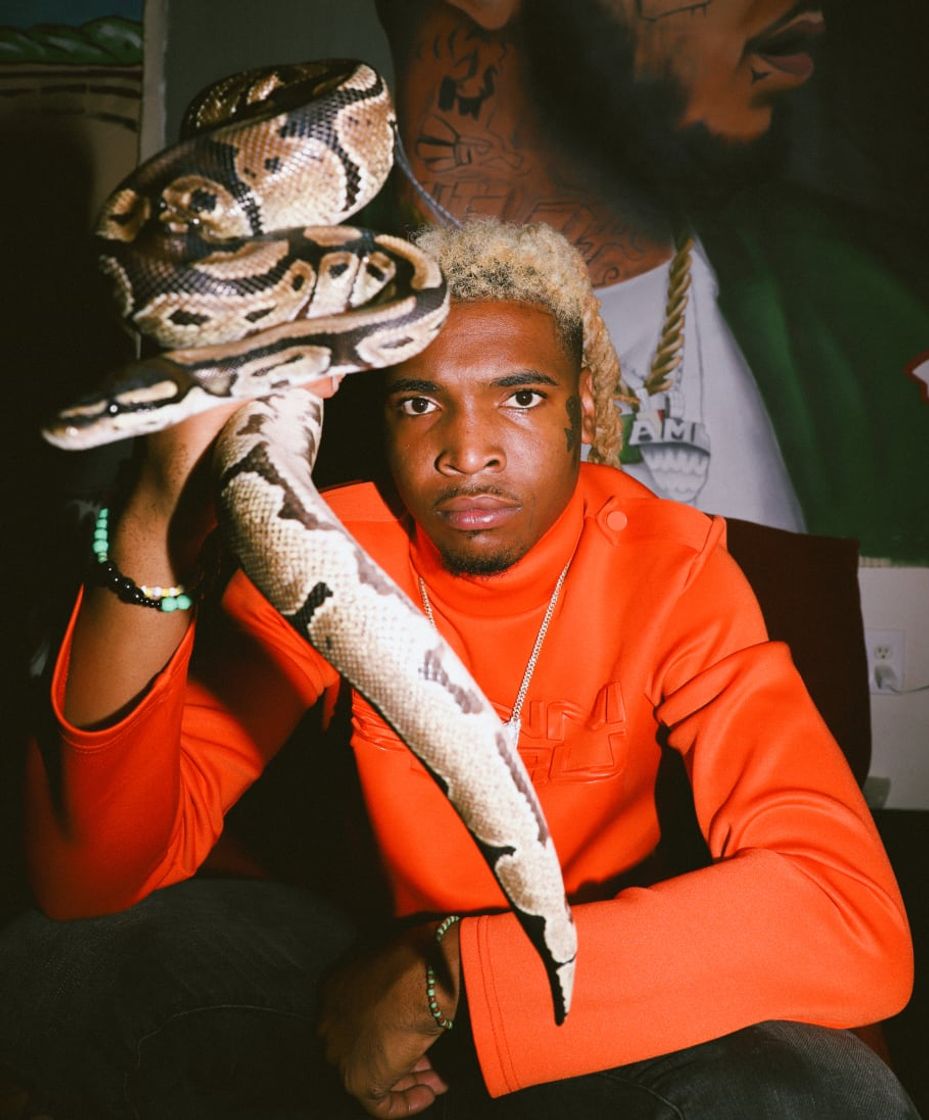 Music Snake