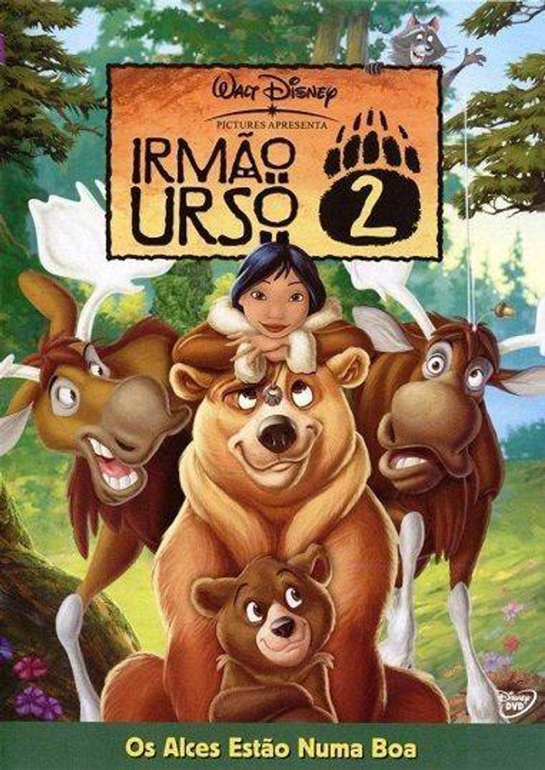 Moda Irmão urso 2