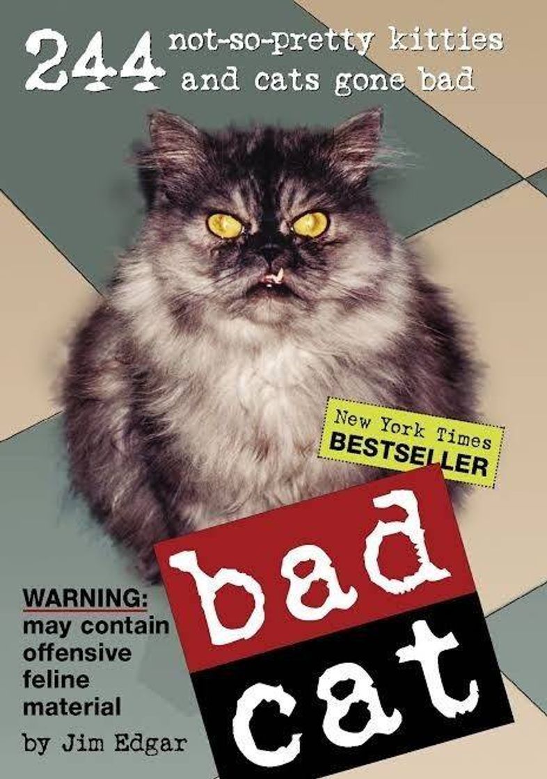 Moda Bad Cats