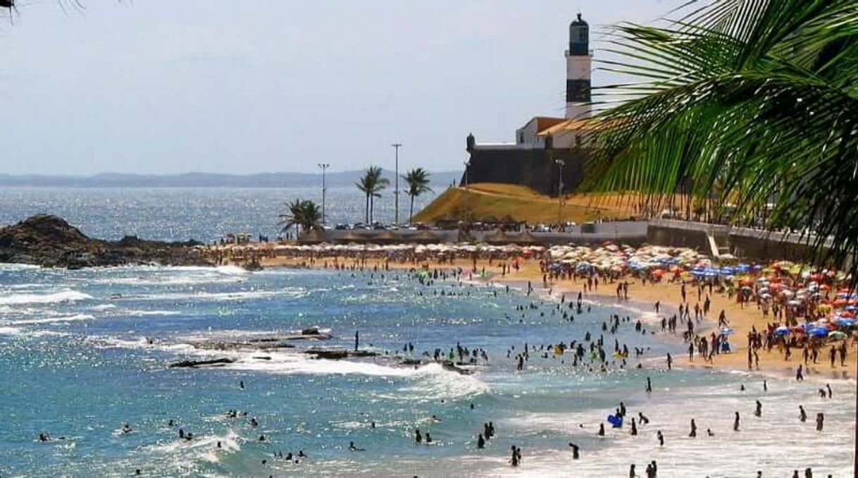 Place Praia Do Farol