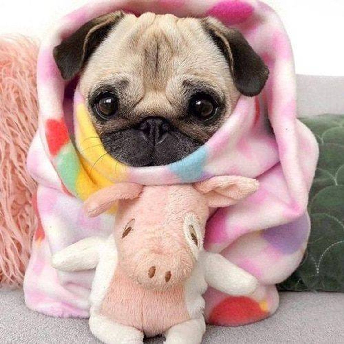 💜✨