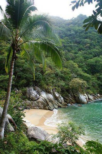 BAHIA DE BANDEIRAS, JALISCO