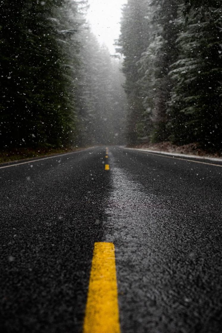 Moda Foto De Baixo ângulo Da Estrada Enquanto Chove