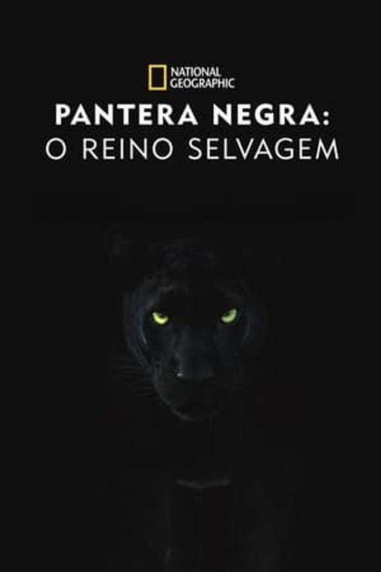 Película La Verdadera Pantera Negra