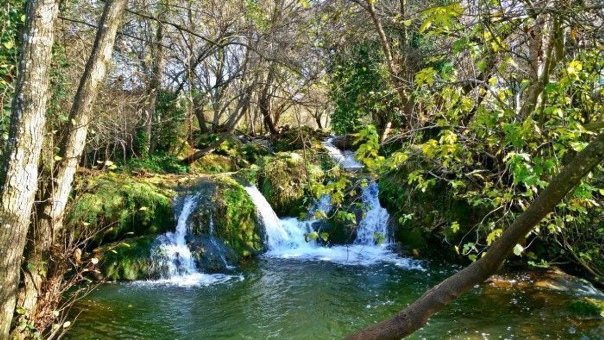 Lugares Cascadas del Huéznar