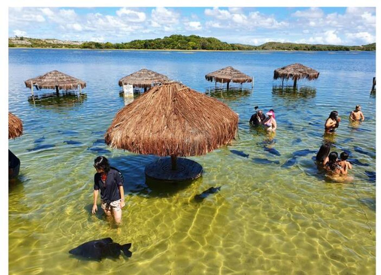 Place Lagoa dos Tambaquis 