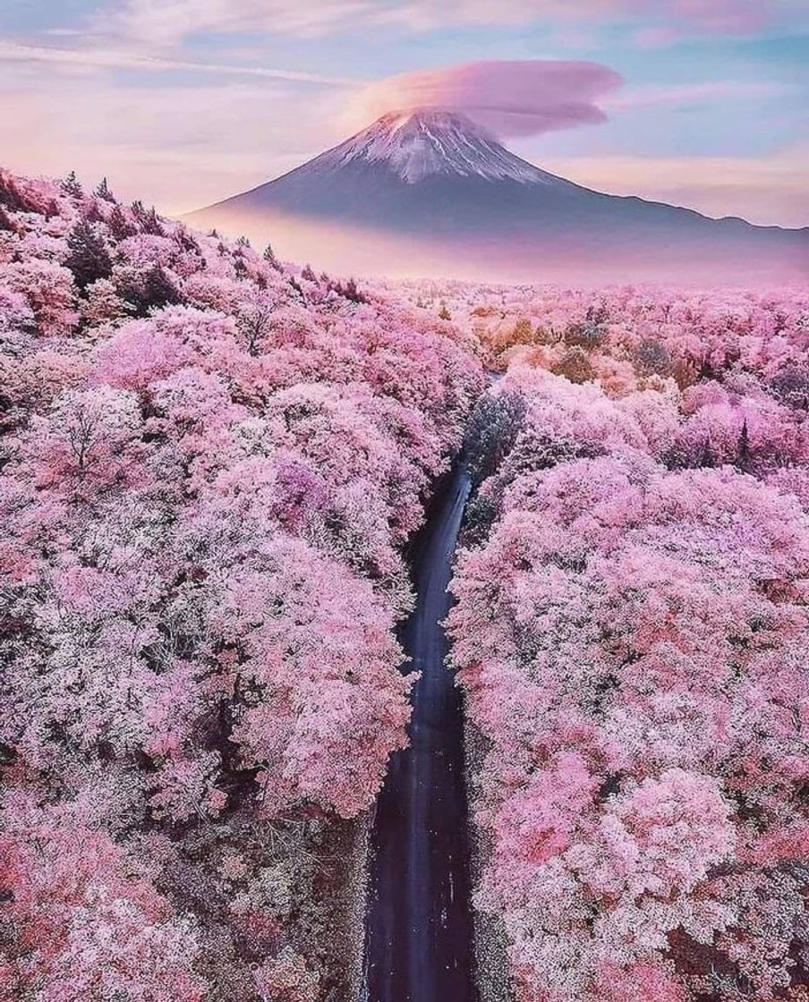 Lugar Mount Fuji