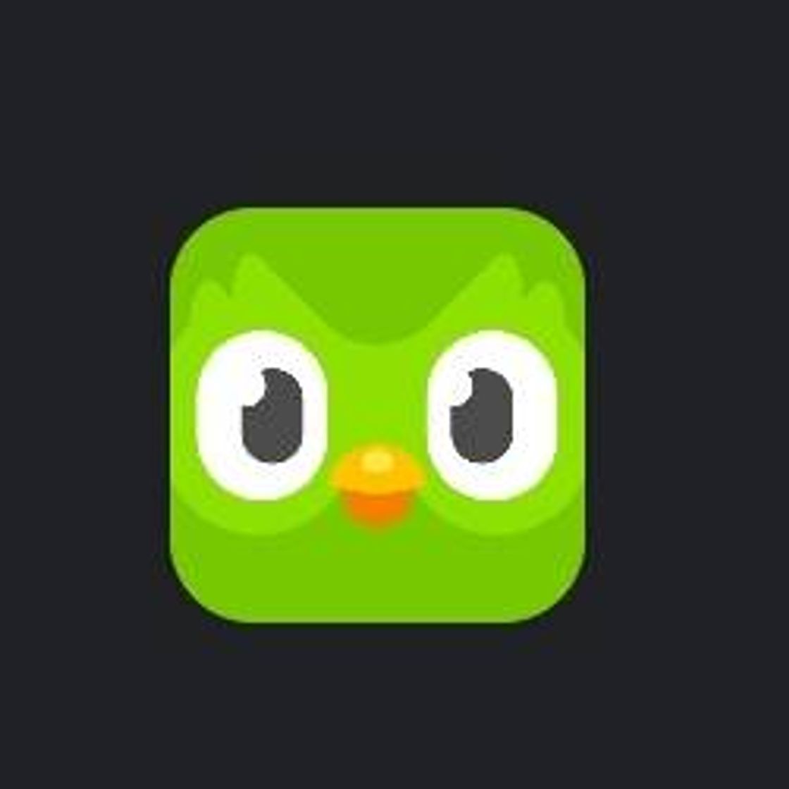 App Duolingo