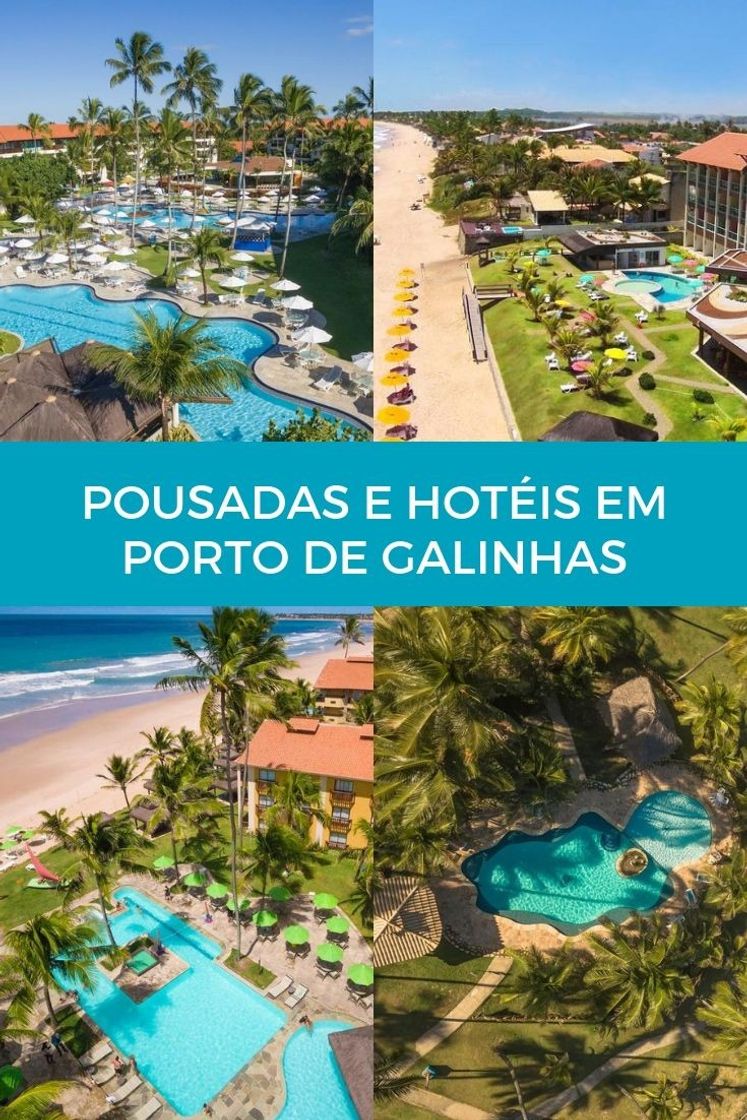 Social Porto de Galinhas - Brasil 