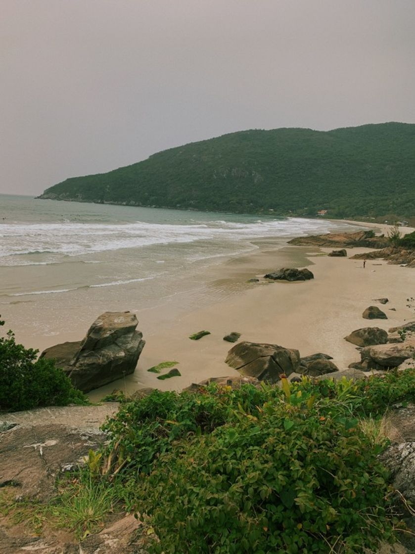 Fashion praia do matadeiro, florianópolis 