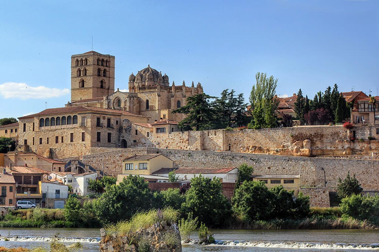 Place Zamora