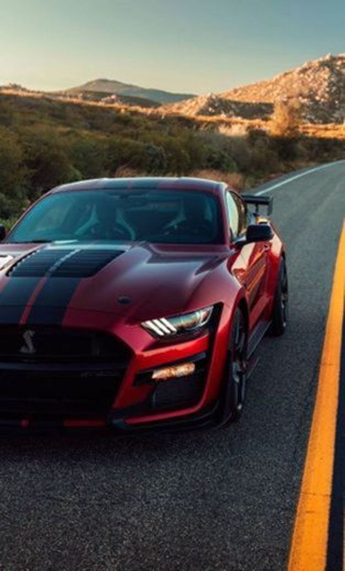 Social Ford Mustang GT
