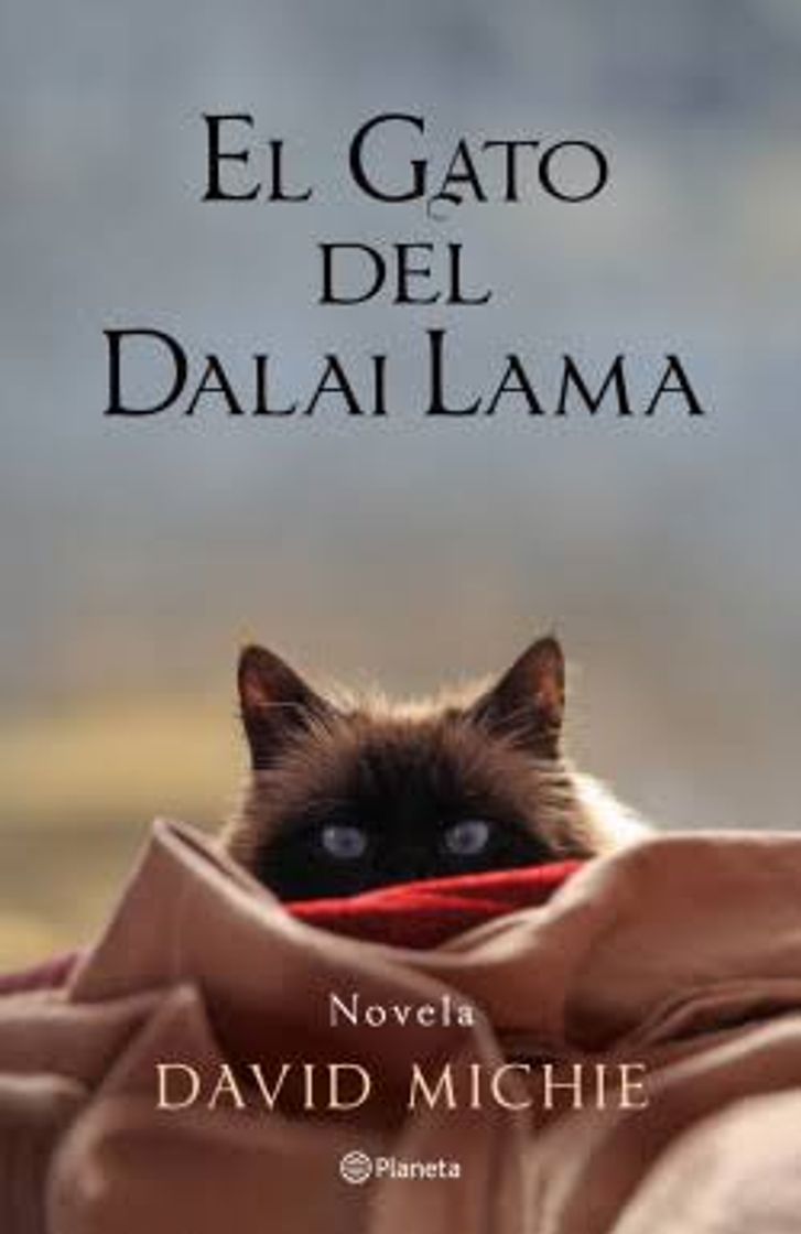 Fashion El Gato del Dalai Lama