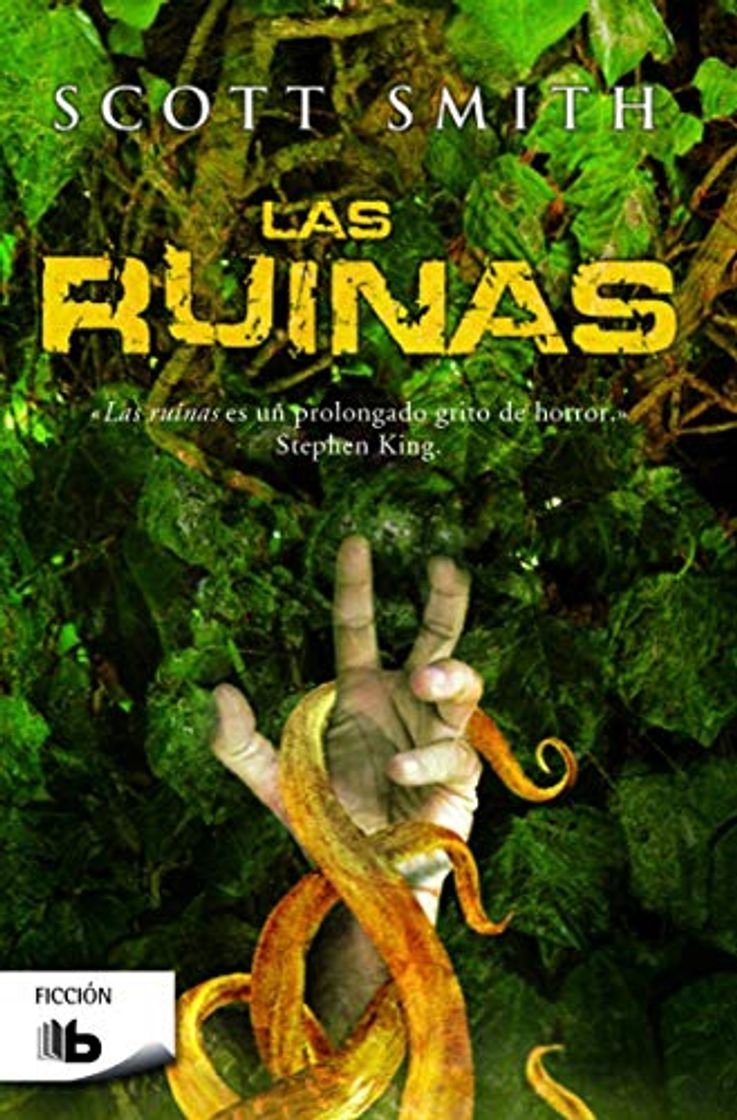 Book Las ruinas