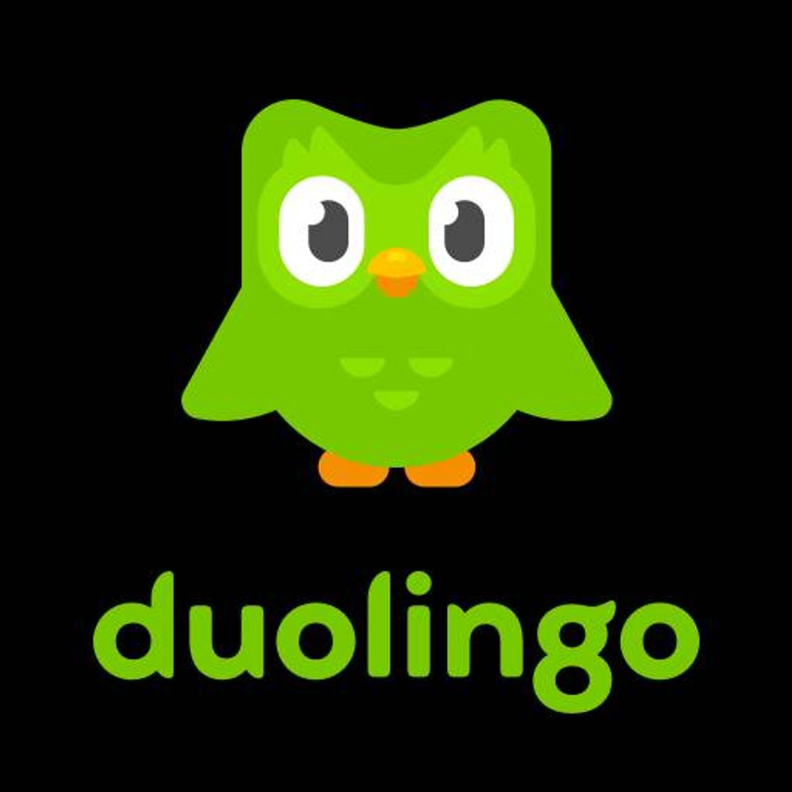 Duolingo - Language Lessons