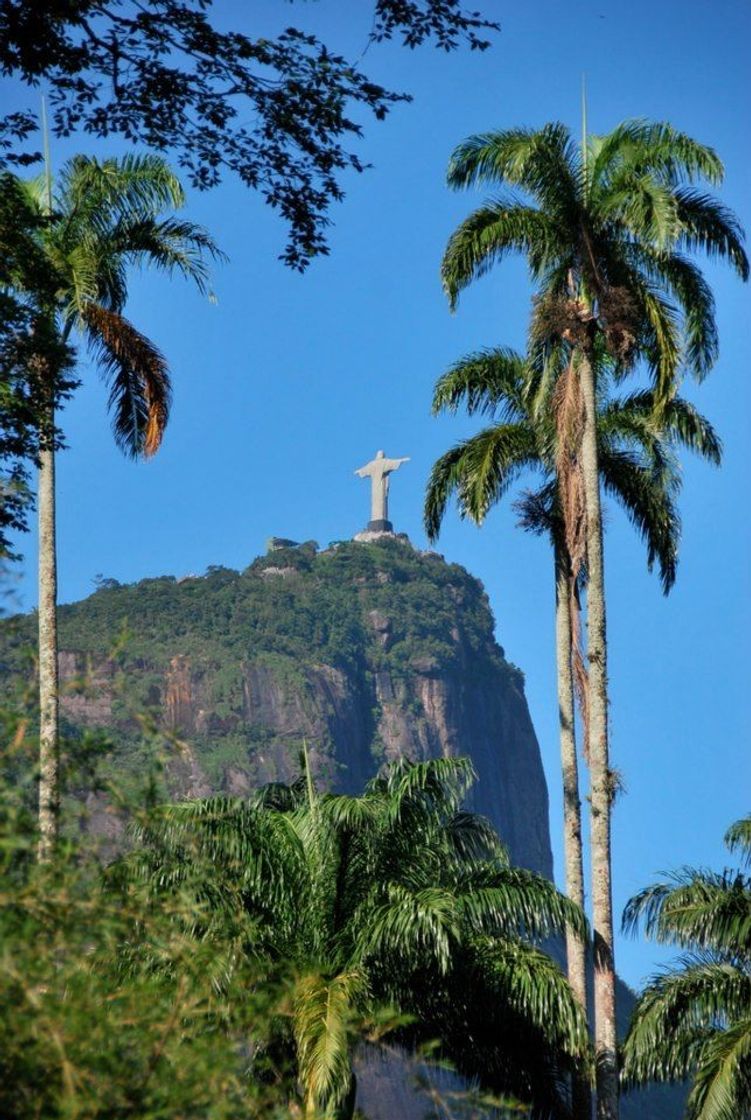 Place Rio de Janeiro