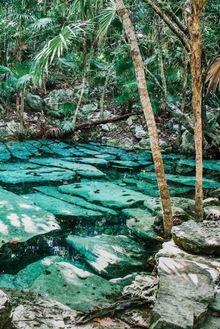 Place Tulum México 